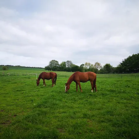 Apartman Fischerhus *